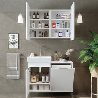 Roomart 2-teiliges Badmöbel-Set LYCIA, 49 cm, Waschtisch mit Spiegelschrank, in 4 Farben