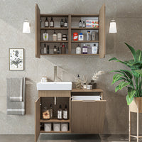 Roomart 2-teiliges Badmöbel-Set LYCIA, 49 cm, Waschtisch mit Spiegelschrank, in 4 Farben
